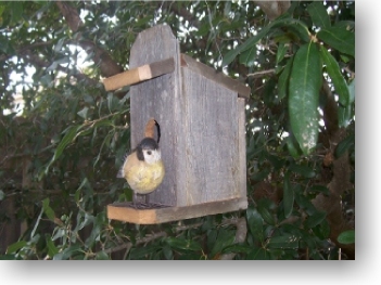 Wood Birdhouses