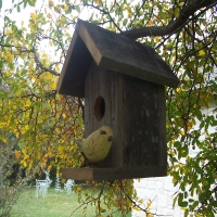 Classic Birdhouse