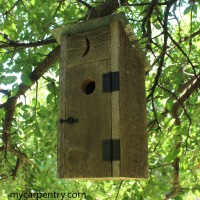 Outhoouse Birdhouse