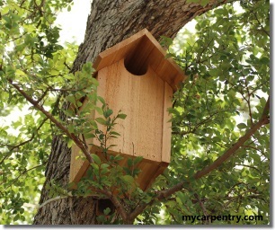 owl house plans - free bird house plans