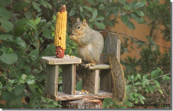 Squirrel Feeder Plans How To Make A Squirrel Feeder