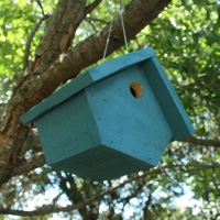 Wren Birdhouse Plans