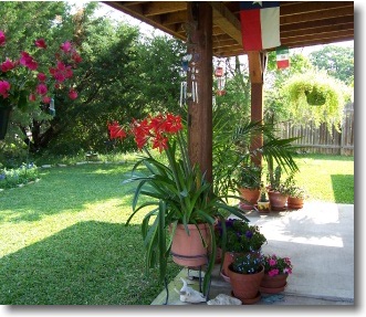 Beautful Outdoor Room