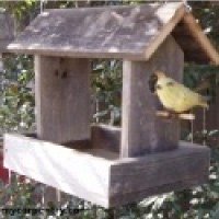 Homemade Bird Feeder