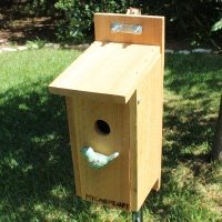 Bluebird Birdhouse Plans