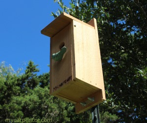 Bluebird Birdhouse Plans - Complete Step-By-Step