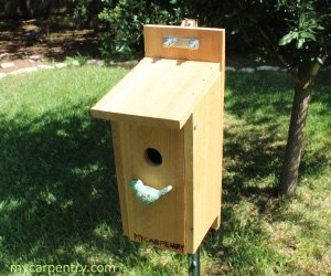 Bluebird Bird House Plans