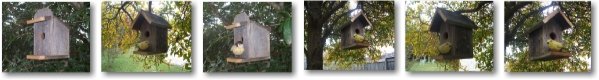Wood Birdhouses