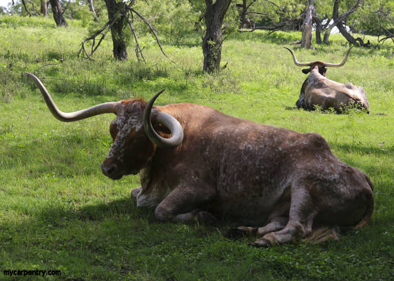 Carpentry from Texas