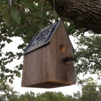 License Plate Bird House