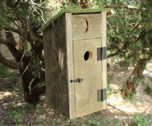 Outhouse Birdhouse