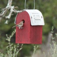 Red Barn Bird House