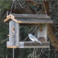 Wooden Bird Feeder