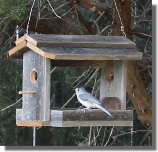 wooden bird feeder